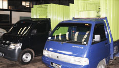 Our Services